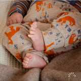 Popolini Hose Baumwolle "Limited Edition"